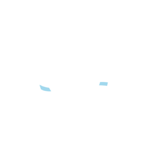 Dystrybucja polskiej wody źródlanej w systemie galonowym