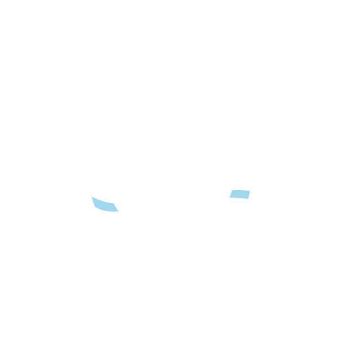 Dystrybucja polskiej wody źródlanej w systemie galonowym